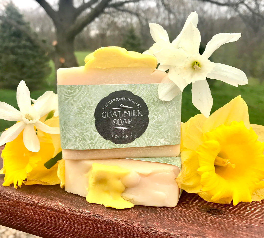 Daffodil Hill Goat Milk Soap